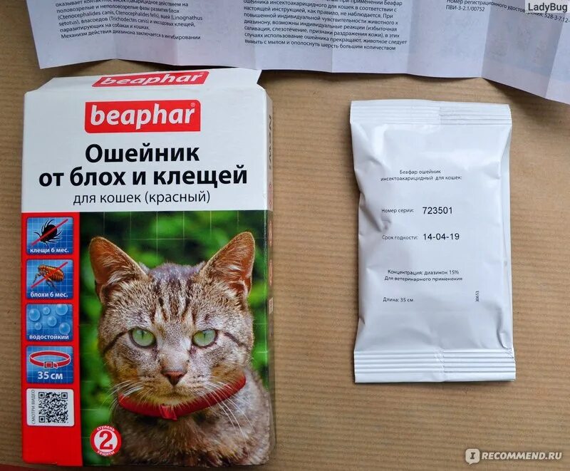 Beaphar ошейник для кошек. Ошейник Беафар для кошек в упаковке. Беафар ошейник для кошек против блох и клещей как выглядит на кошке. Ошейник для кошек отзывы ветеринаров
