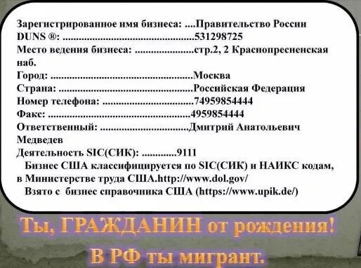 ООО Российская Федерация. ООО правительство РФ. Где зарегистрирована полиция Российской Федерации. 531298725 Российская Федерация.