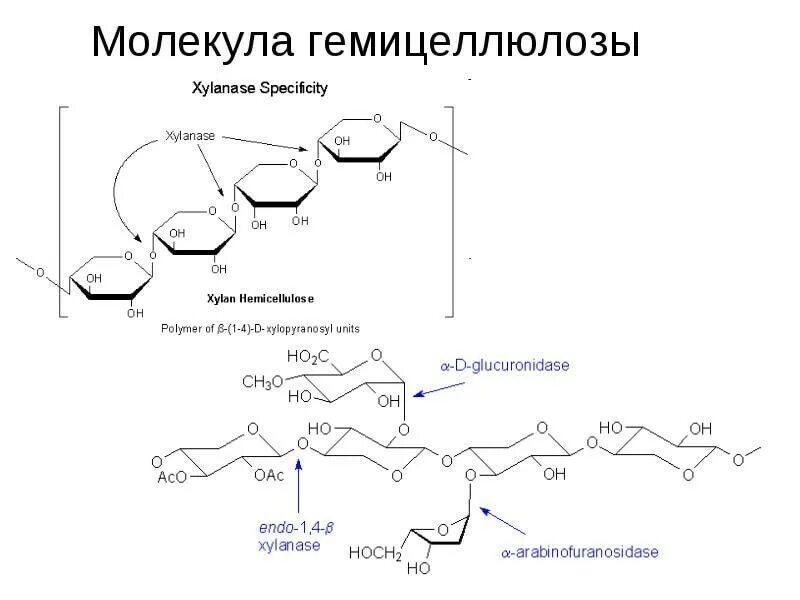 Целлюлоза вступает в гидролиз. Гемицеллюлоза формула химическая. Гемицеллюлоза структурная формула. Целлюлоза лигнин гемицеллюлоза. Гемицеллюлоза строение.