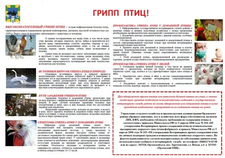 Больные птичьим гриппом