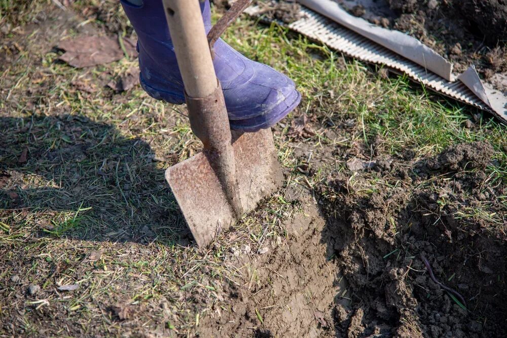 Копать лопатой. Лопата копать огород. Копать землю.