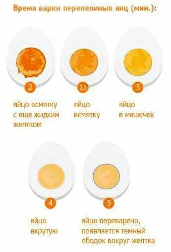 Сколько надо варить перепелиные. Как варить перепелиные яйца вкрутую. Сколько варить яйца перепелиные по времени вкрутую. Сколько варить перепелиные яйца вкрутую. Сколько варить перепелиные яйца.