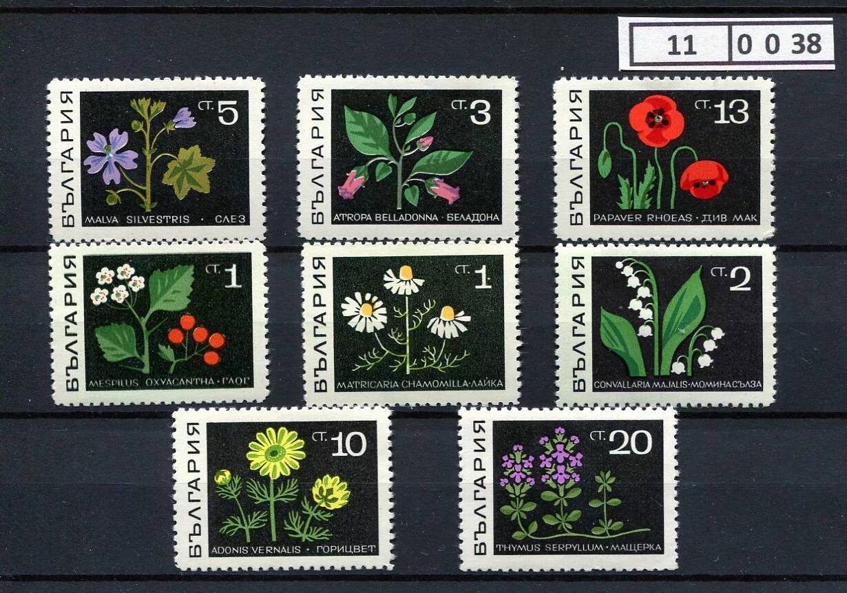Советские марки растения. Марки с растениями. Марки с растениями. Цветные почтовые марки. Советские марки цветы.