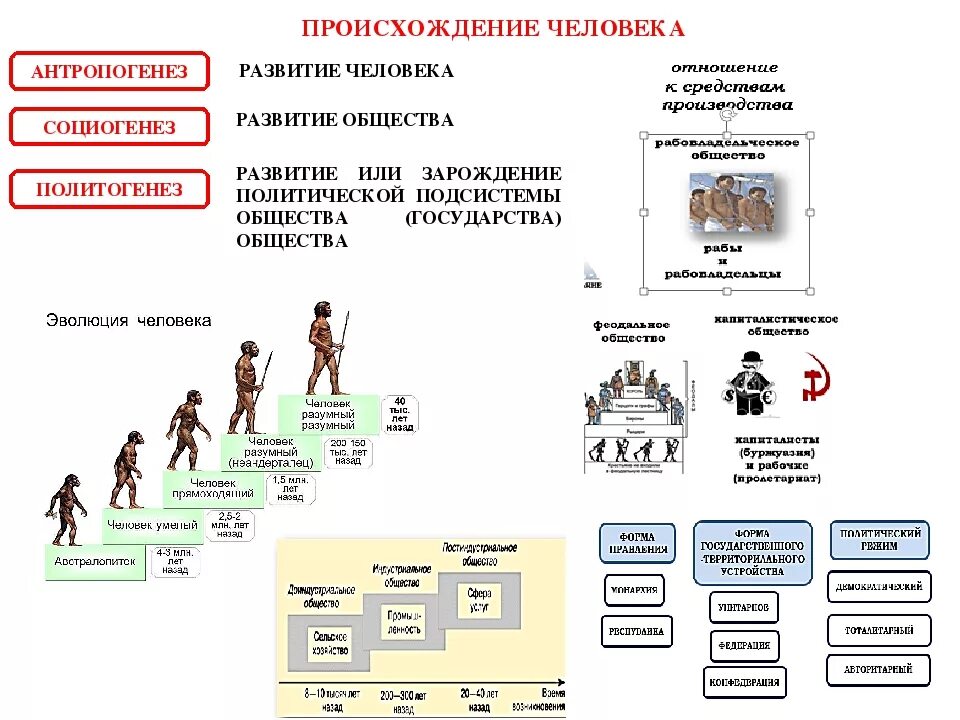 Становление человека конспект. Социогенез этапы развития таблица. Основные этапы социогенеза. Социогенез, его основные этапы. Теории социогенеза.