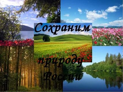 Тема природа 3 класс окружающий мир видеоурок