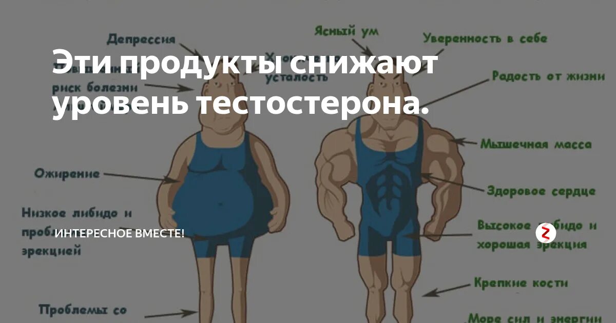 Повышенный тестерон у мужчин. Продукты для тестостерона. Продукты повышающие тестостерон. Еда повышающая тестостерон. Продукты повышающие тестостерон у мужчин.