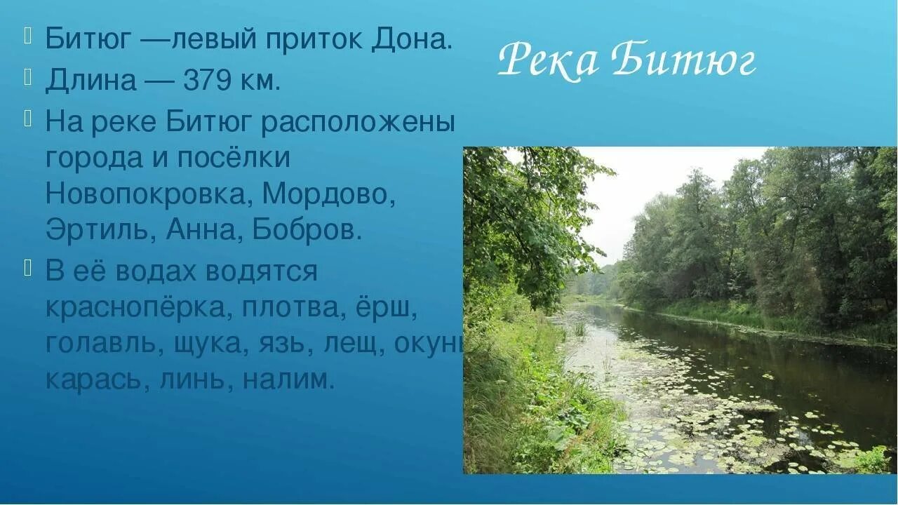 В чем высказывания писателя о реке воронеж. Исток реки Битюг. Описание реки Битюг. Битюг (река) притоки Дона. Схема реки Битюг Воронежской.