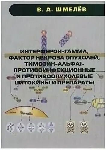 Гамма фактор