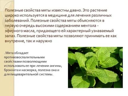 Полезные свойства для детей