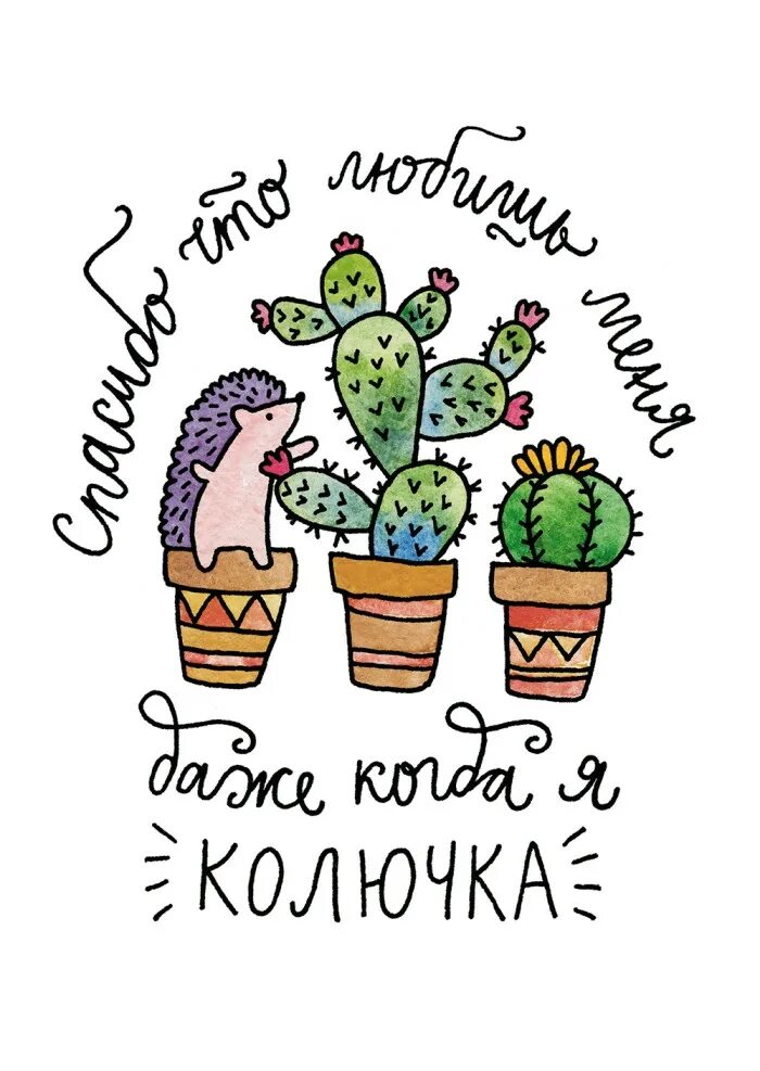 Ёжики милашки. Котенок и ежонок. Он прилип ко мне как колючка. Сказка колючка. Он прилип ко мне как колючка.