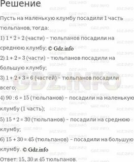 90 луковиц тюльпанов на 3