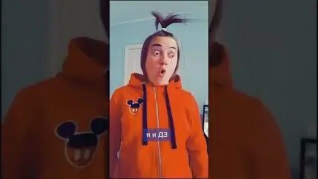 Лёлик кот. Лелик и жорик. Лелик тик ток. Лелик и болик тик ток. Лелик тик ток.