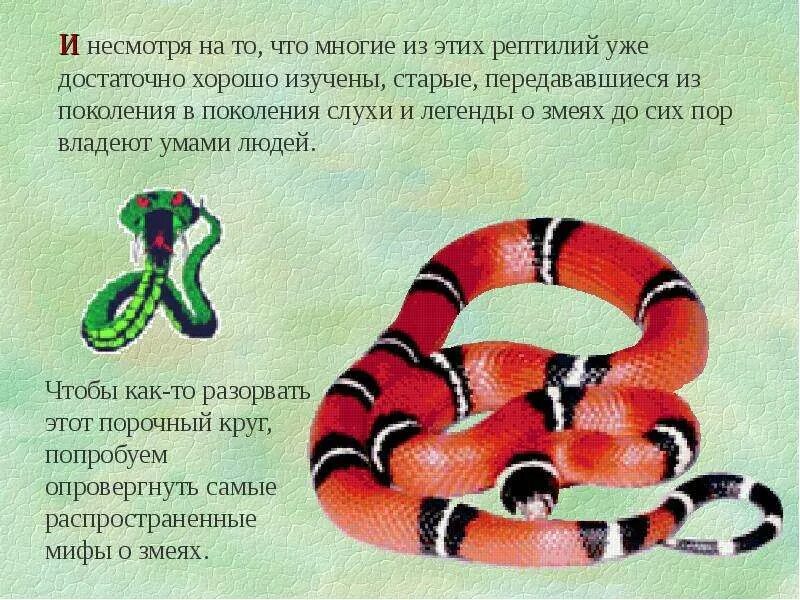 Легенда о полозе. Мифы о змеях. Легенды про змей. Легенда про змею. Презентация о змеях для детей.