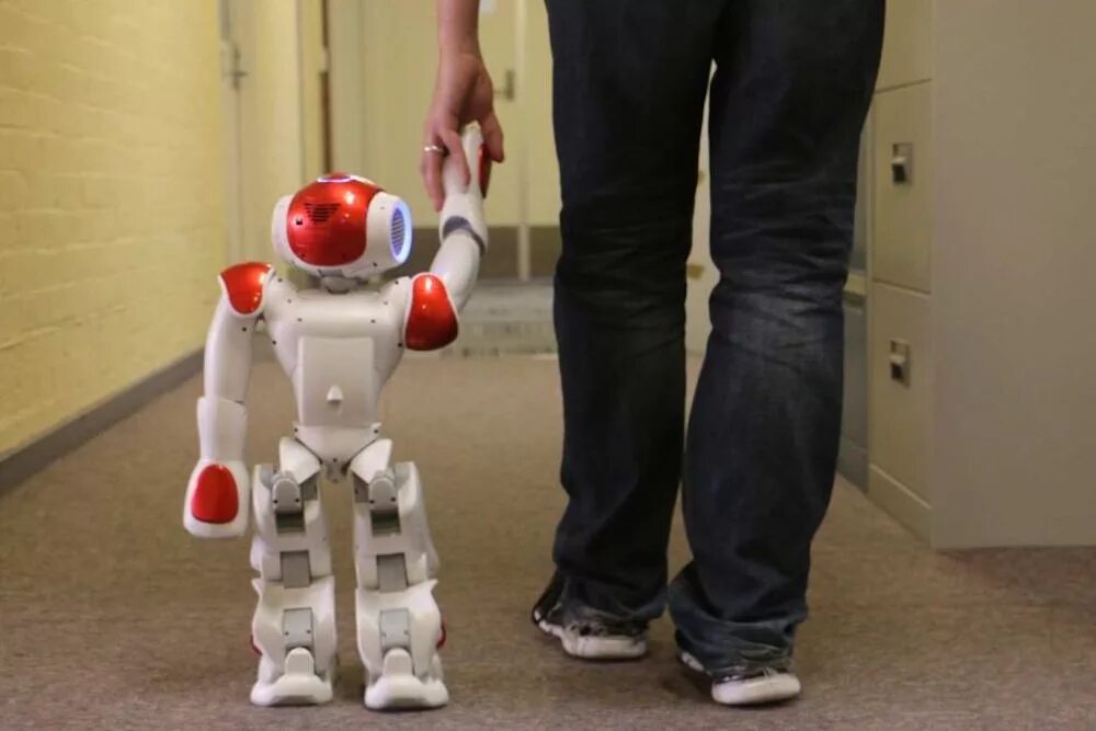 Роботы и робототехника. Домашние роботы. Роботы для детей. Робот игрушечный. Недорогой качественный робот