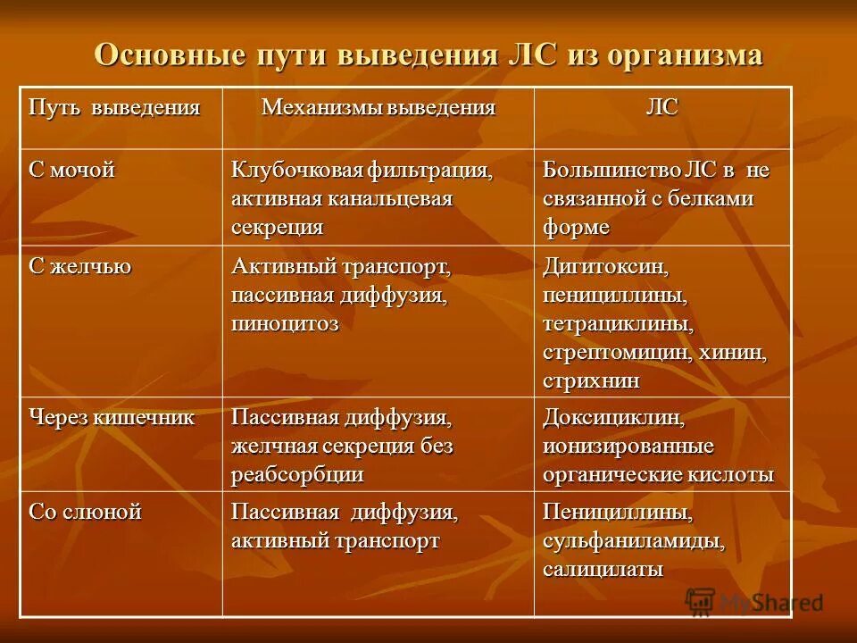 Основные пути выведения лекарственных веществ. Пути выведения мочи. Пути выведения лекарственных средств из организма. Пути выделения лекарственных средств из организма. Экскреция лекарственных веществ.