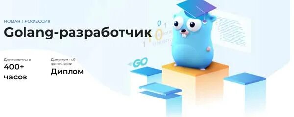 Go разработчик курс. Golang курсы. Go Разработчик. Курсы по go Land. ЗП golang разработчиков 2024.