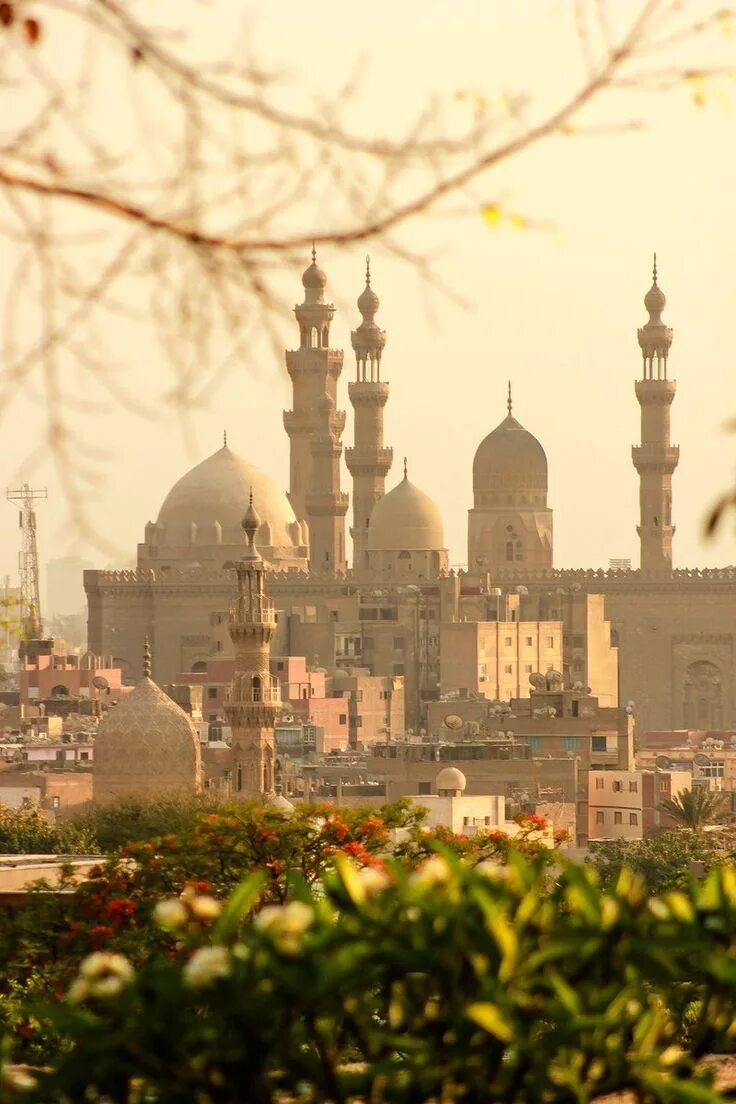 Каир древний город. Крупные города востока. Восток владивосток. Каир арабский город северной африки. Дамаск город до войны.
