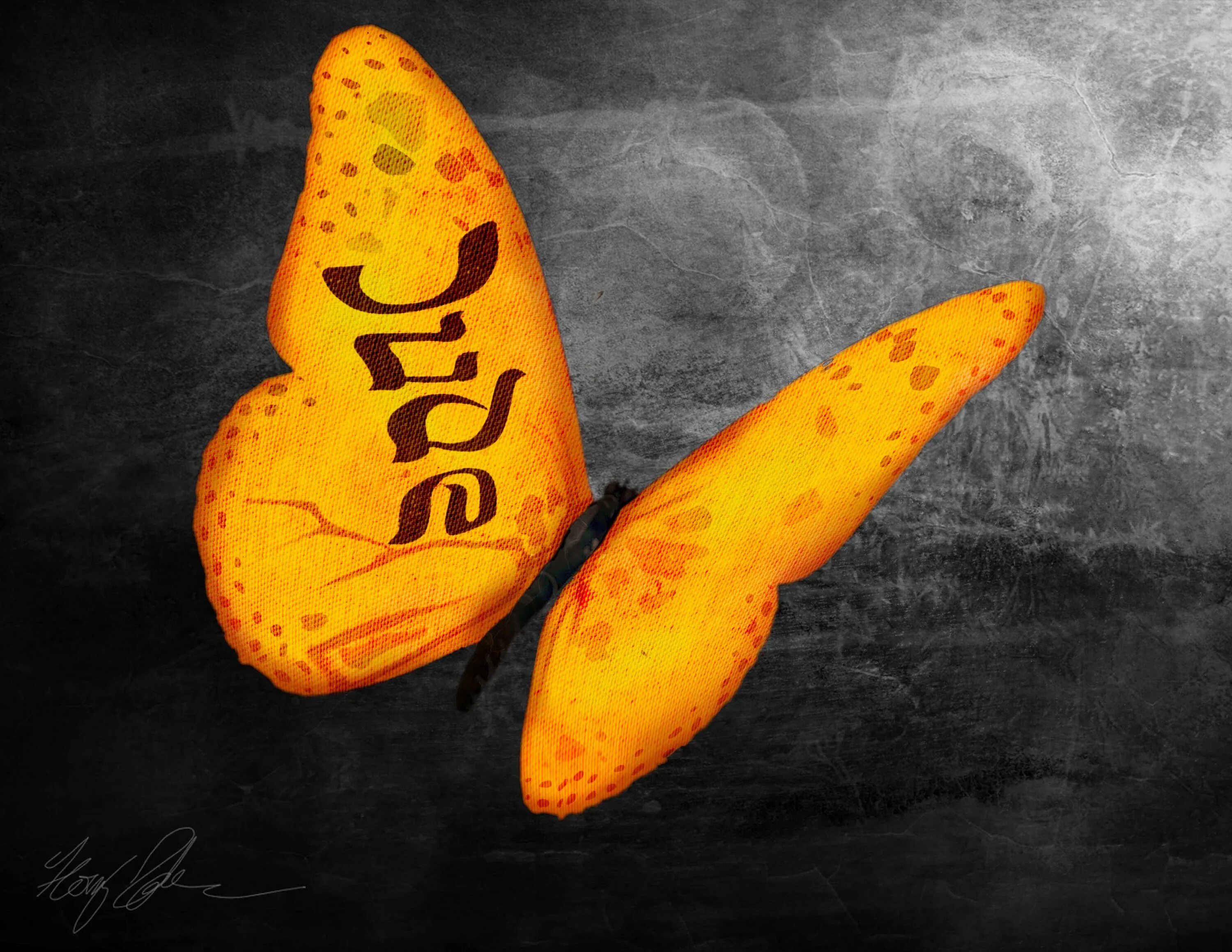 Бабочки памяти холокоста. Бабочки памяти холокоста. Бабочка дети холокоста. Символ детей холокоста. Символ холокоста бабочка.