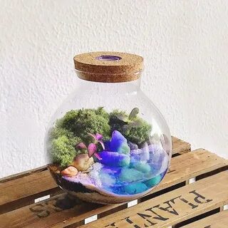 Небольшая экосистема