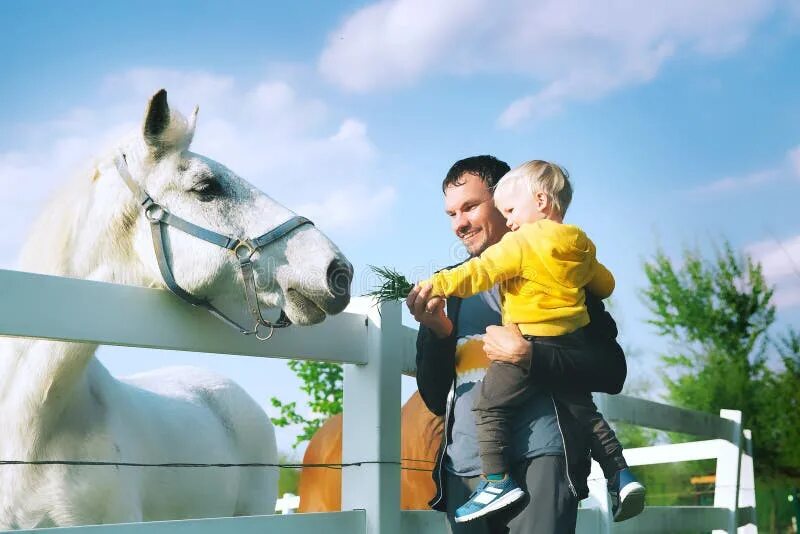 Сын лошади. Horse daddy. Жеребец сношает кобылу. Долговязая лошадь тревор хендерсон. Дочка и папа на лошадях.