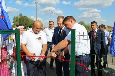 Погода в новошешминске на 30