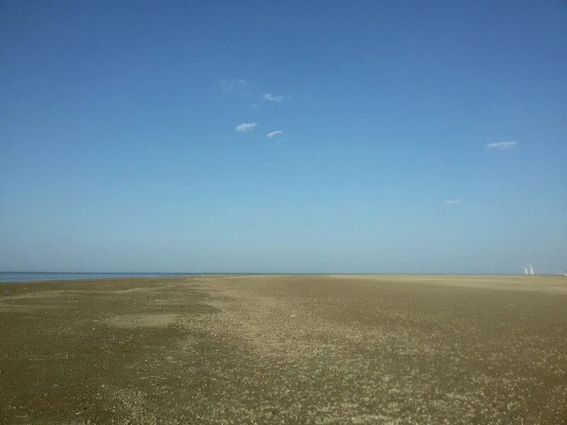 Волгодонск Цимлянское водохранилище. Цимлянское водохранилище Котельниково. Цимлянское водохранилище 2020. Цимлянское водохранилище рыбалка 2020. Сброс воды цимлянского