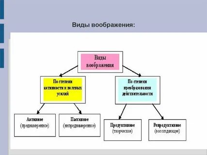 Воображения курсовая