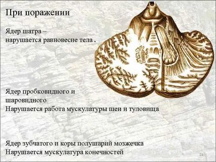 Поражение ядра