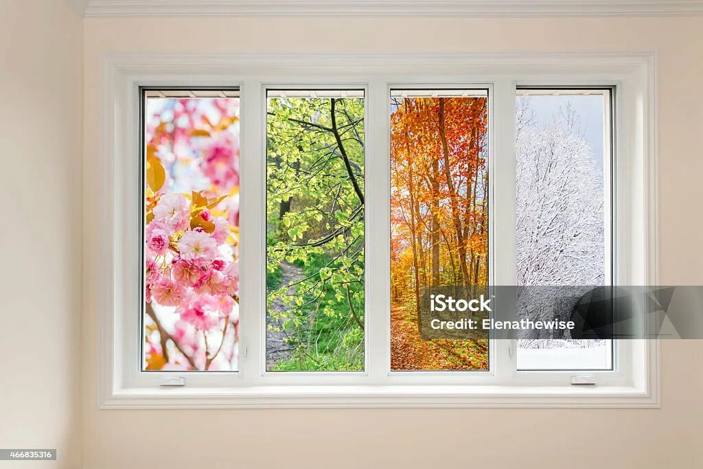 The time window