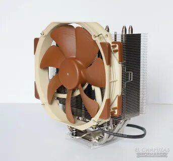 Noctua