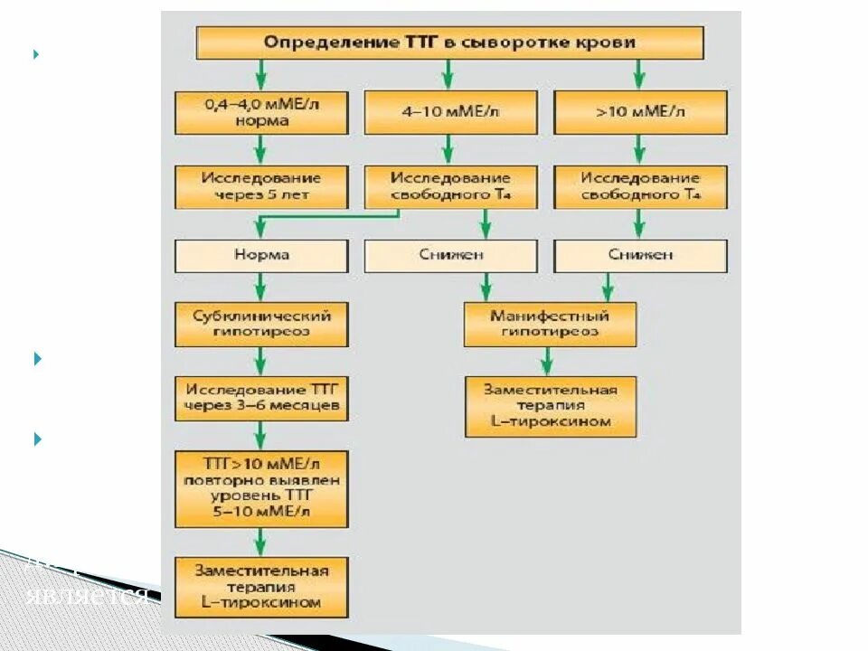 Скрининг на гипотиреоз. Неонатальный скрининг новорожденных гипотиреоз. Скрининг новорожденных на врожденный гипотиреоз. Скрининг тестирование врожденного гипотиреоза. Алгоритм диагностики врожденного гипотиреоза у детей.