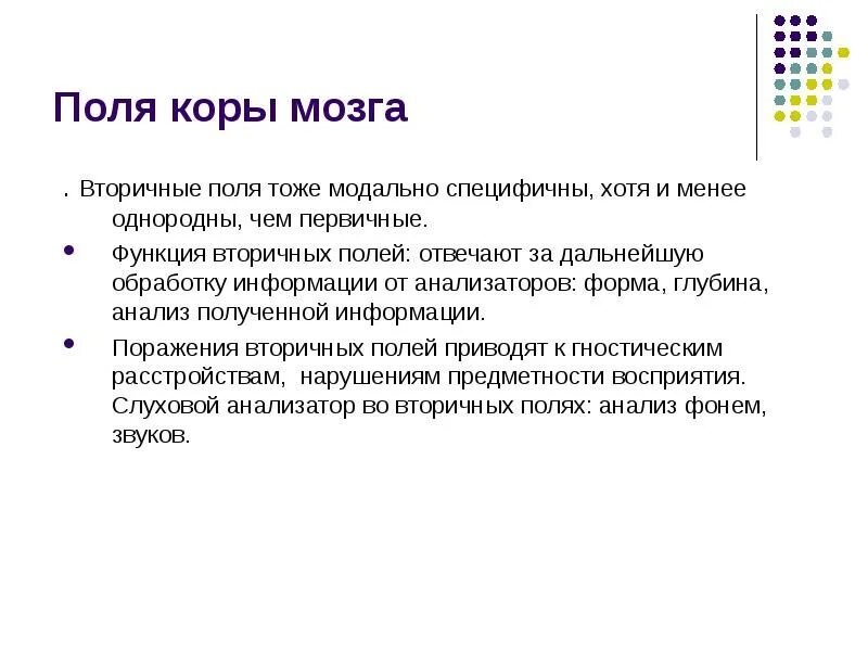 Первичные поля мозга. Первичные вторичные и третичные поля коры. Вторичные поля головного мозга. Первичные вторичные третичные поля коры головного мозга. Вторичные поля функции.