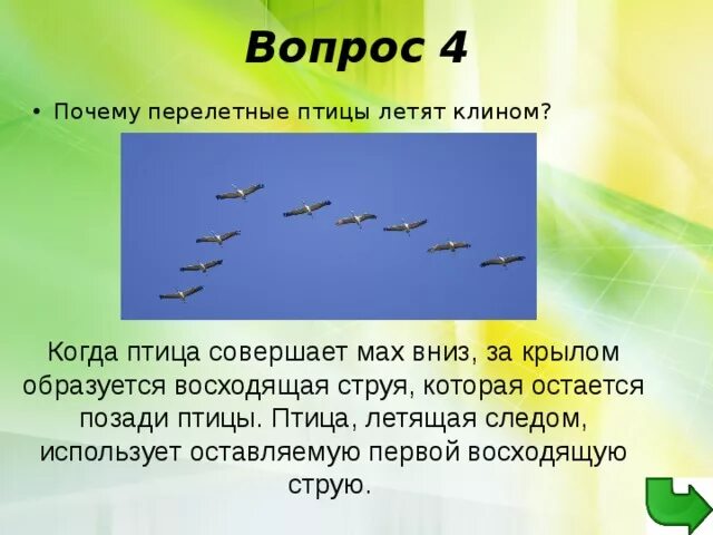 Почему птицы совершают. Почему птицы летят клином. Перелетные птицы летят клином. Птицы летают клином. Клин перелетных птиц.