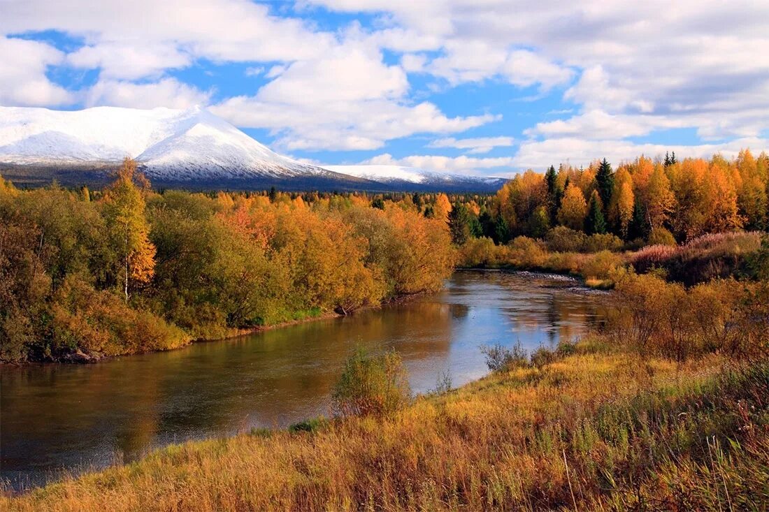 Природа заповедника шульган таш. Уральские горы приполярный урал. Озеро тальков камень свердловская область. Южноуральские заповедники урала. Национальный парк йогыдва.