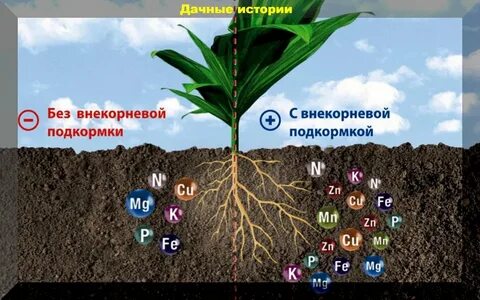 Влияние минеральных удобрений
