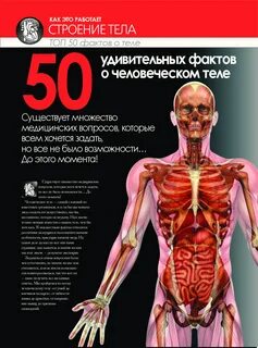 Книга организм человека
