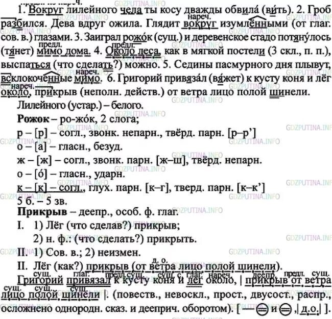 Русский язык 7 класс ладыженская 338. Вокруг лилейного чела ты косу дважды обвила.