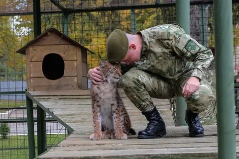 Патриотический клуб рысь