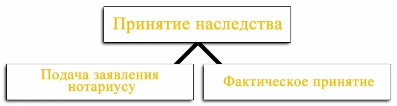 Порядок приобретения наследства. Срок принятия наследства. 6. Составьте схему «способы и порядок принятия наследства».. Принятие наследства нотариус грустный.