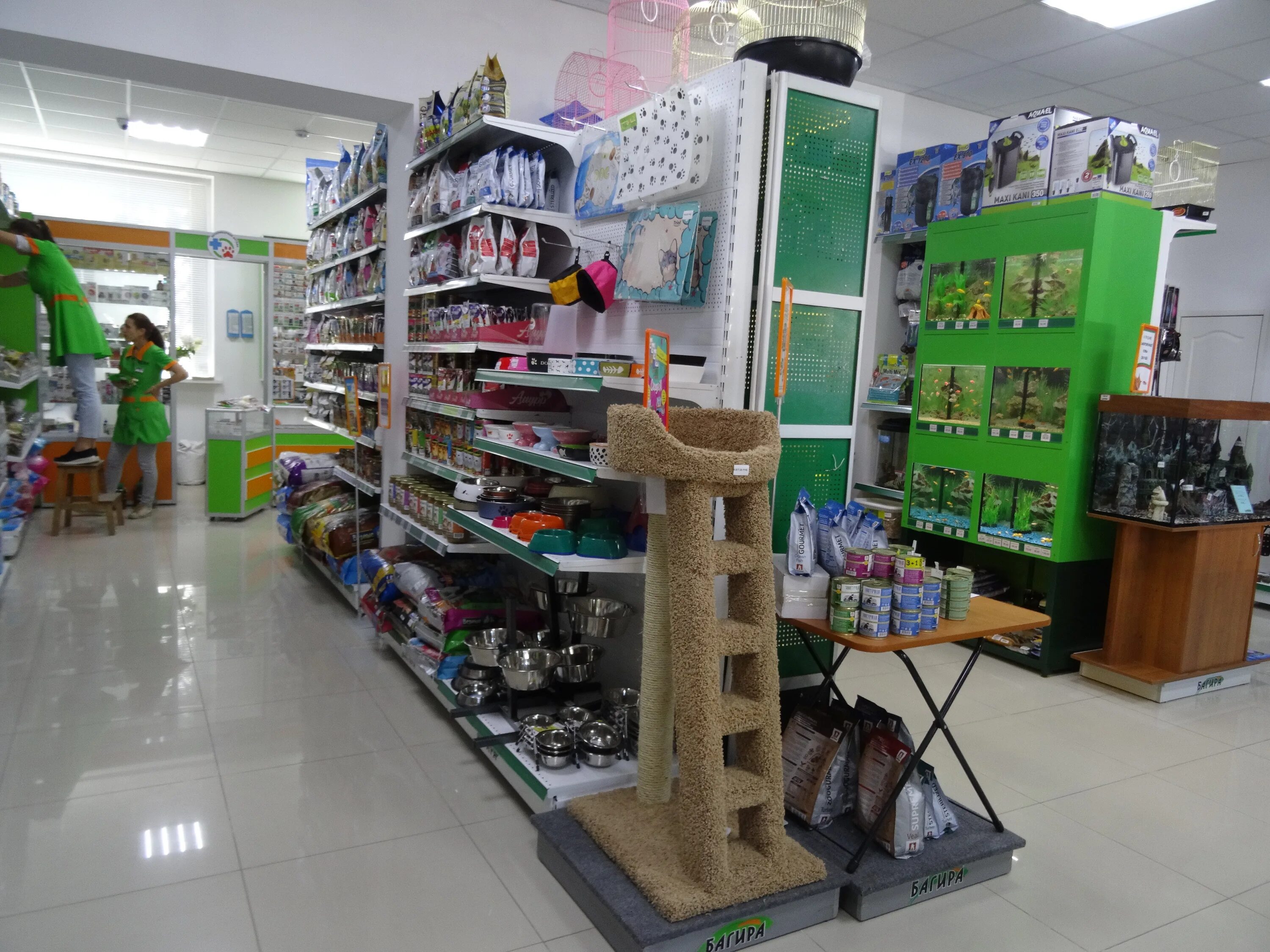 Зоомагазин севастополь тц московский. Багира севастополь. Ветаптека багира севастополь. Магазин багира севастополь зоомагазин. Декабристов 26 севастополь.