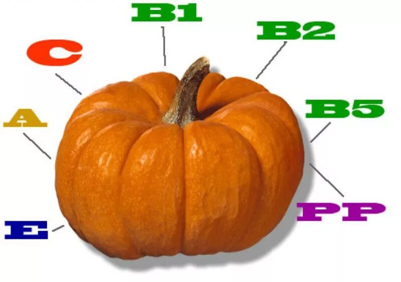 Тыква витамины и микроэлементы таблица. Витамины в тыкве. Тыквенные витамины и микроэлементы. Тыквенные витамины и микроэлементы. Полезные витамины в тыкве.
