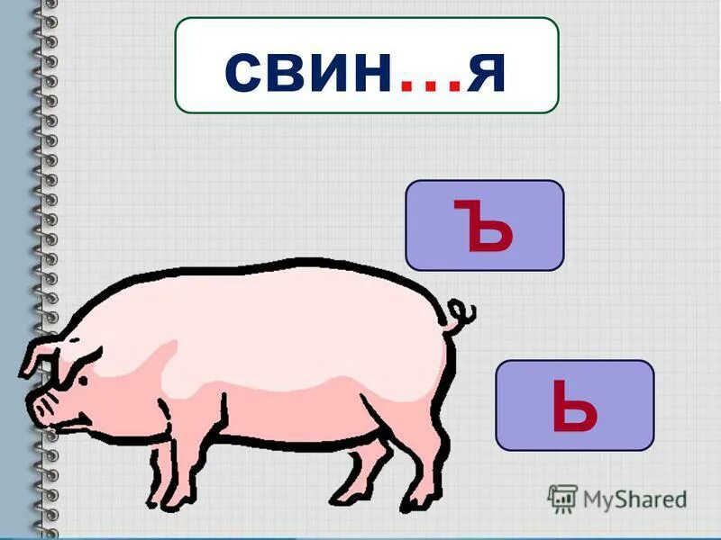 Буква ь. Какая буква в алфавите пятая. А б в г д е ё ж з и к л м н. 5 букв первая с пятая ь. Какая буква стоит перед л.