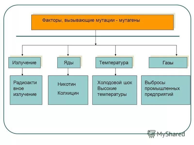 Какие причины вызывают мутации