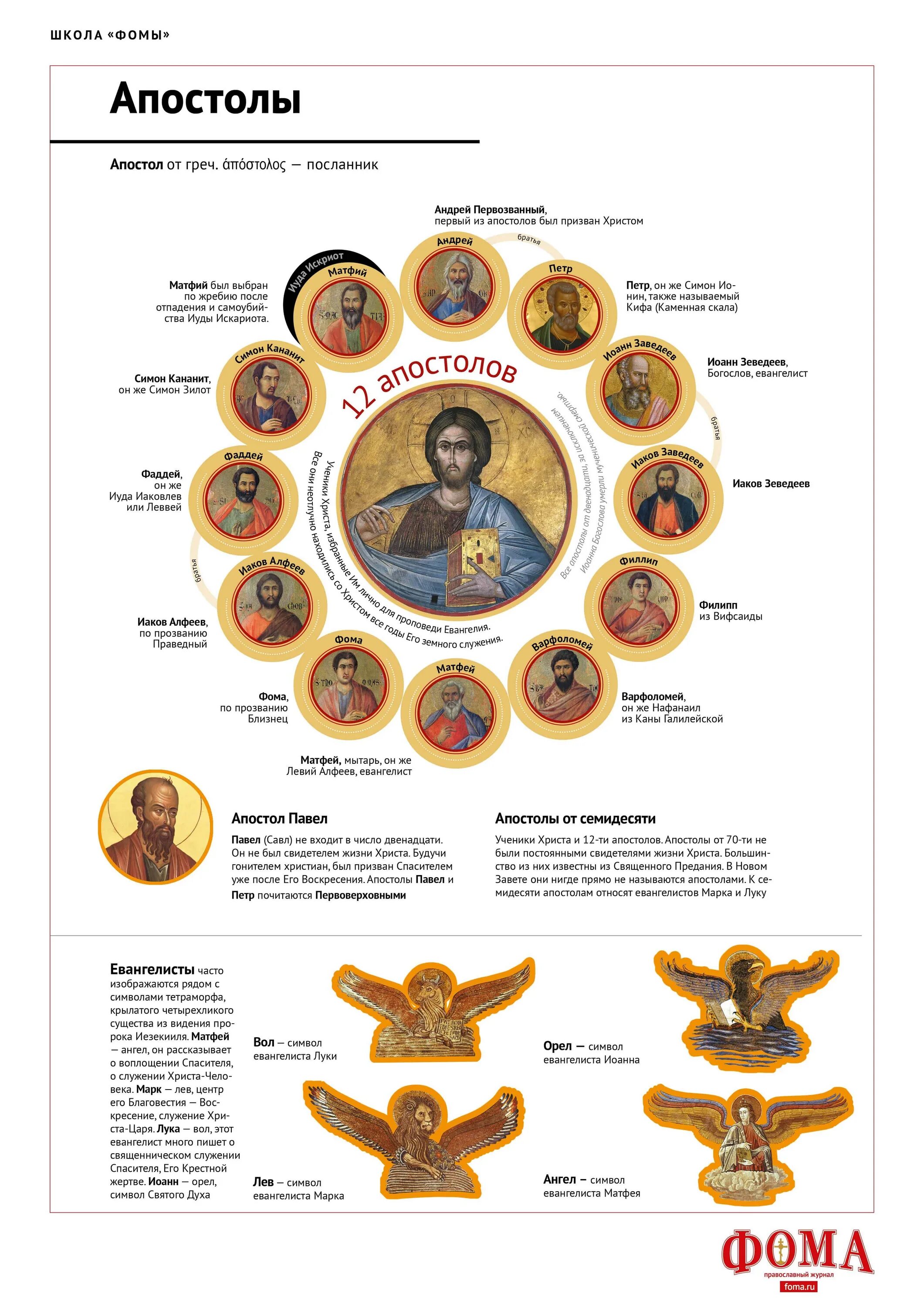 Двенадцать апостолов имена. Имена 12 апостолов Иисуса Христа по порядку в православии. 12 Апостолов Иисуса Христа таблица. Апостолы инфографика. Апостолы и евангелисты в православии.