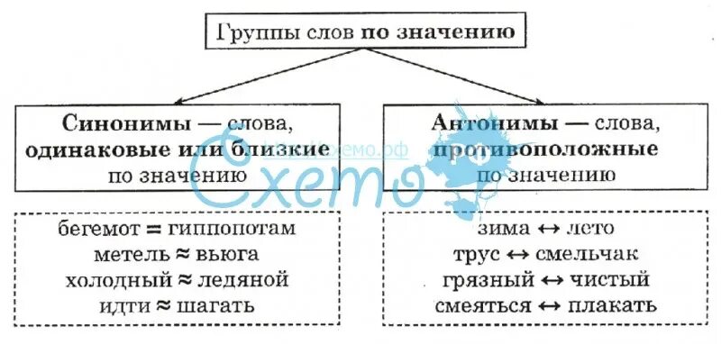 Слова близкие по значению карточка. Синонимы антонимы таблица. Синонимы антонимы схема. Таблица синонимов и Анто. Синонимы и антонимы 2 класс правило.