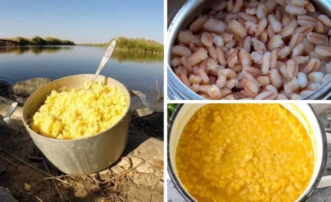 Пшено с кукурузной крупой для рыбалки. Каша на леща. Гороховая каша для рыбалки. Каша гороховая для леща. Каша для леща на кольцо рецепт.