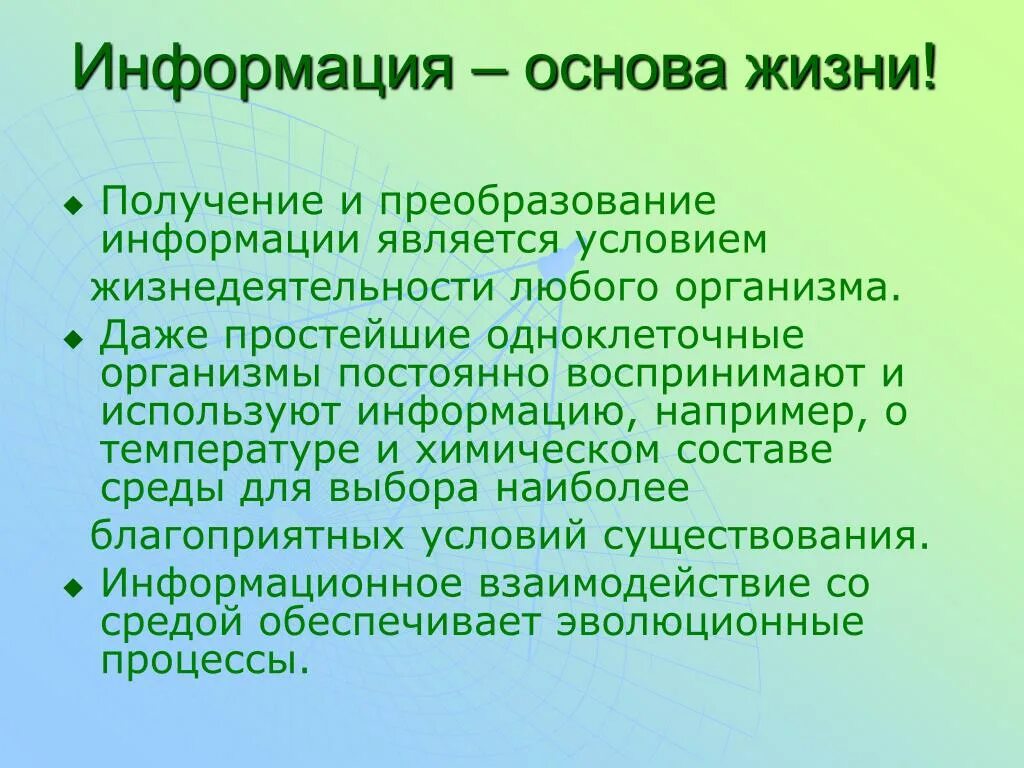 Сообщение на основе информации. Основы информации. Необходимое условие жизнедеятельности любого организма. Жизнедеятельность любого организма сообщение. Основы сведения.