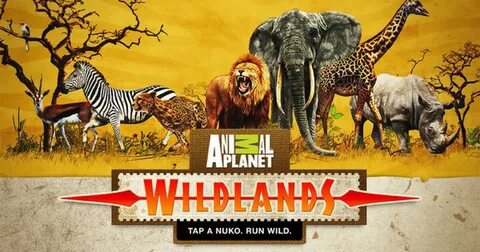 Animal planet