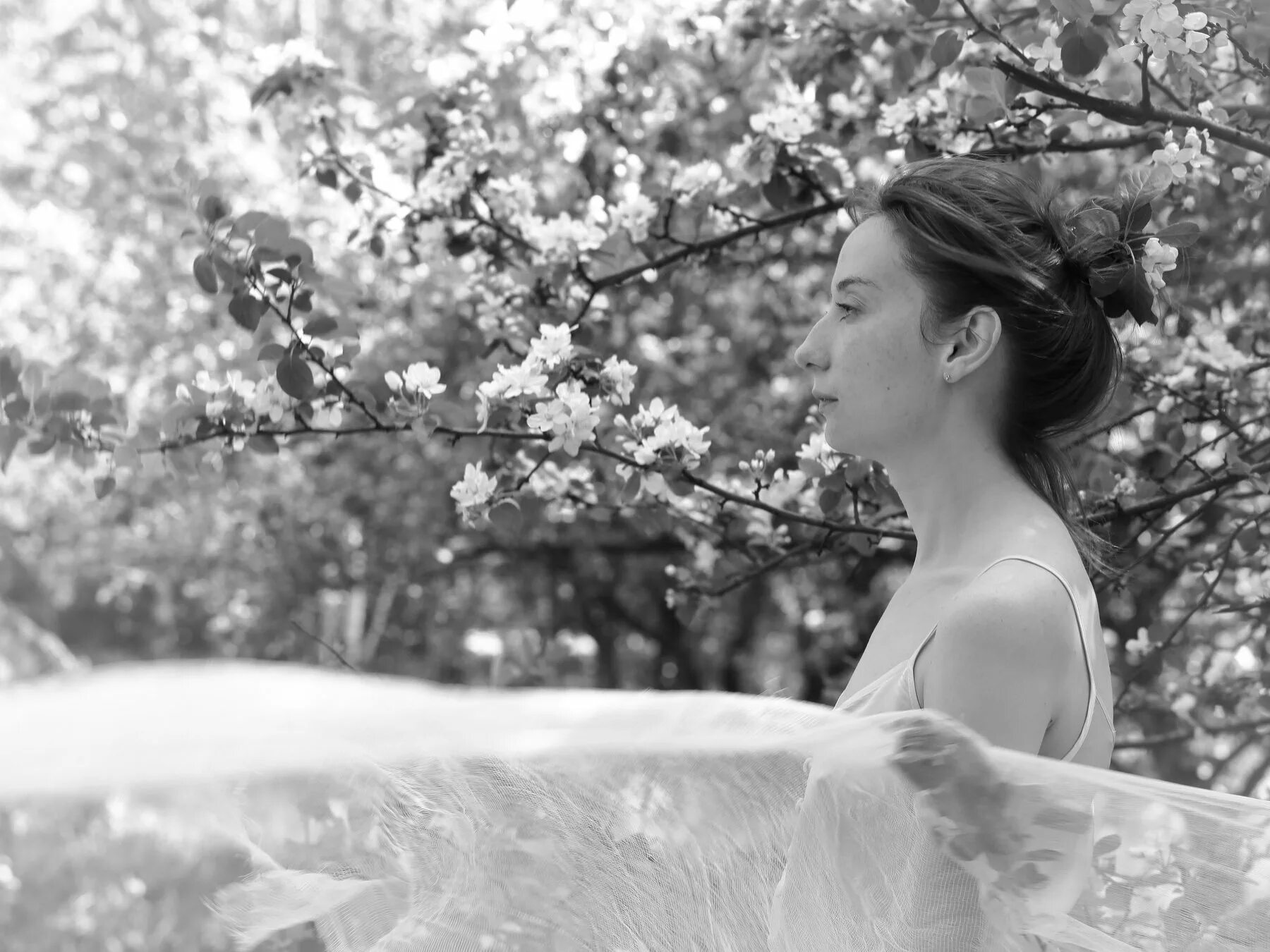 Весенний ветер предложение. Весенний ветер.