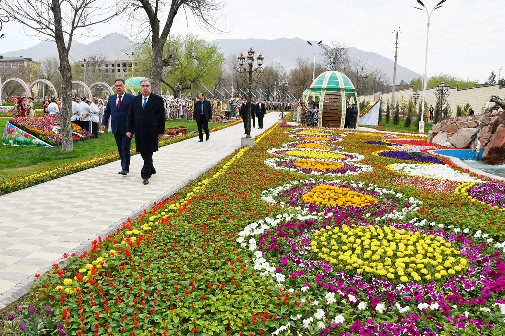 Цветы душанбе. Наврузгох Худжанд парк.